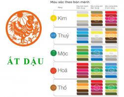 Sinh năm 2005 Ất Dậu hợp với màu gì? mua xe màu gì?