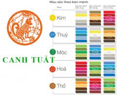 Sinh năm 1970 Canh Tuất hợp với màu gì? mua xe màu gì?
