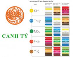 Sinh năm 1960 Canh Tý hợp với màu gì? mua xe màu gì?