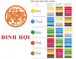 Sinh năm 2007 Đinh Hợi hợp với màu gì? mua xe màu gì?