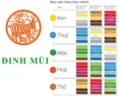Sinh năm 1967 Đinh Mùi hợp với màu gì? mua xe màu gì?