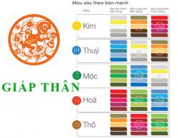 Sinh năm 2004 Giáp Thân hợp với màu gì? mua xe màu gì?