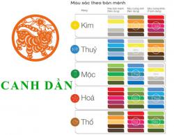Tuổi Canh Dần hợp với màu gì và kỵ màu sắc nào nhất?