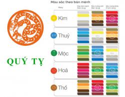 Sinh năm 2013 Quý Tỵ hợp với màu gì? mua xe màu gì?