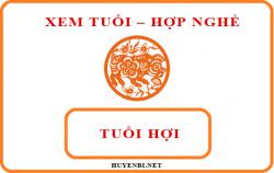 Tuổi Hợi hợp với nghề gì và hướng nào theo phong thủy