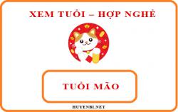 Tuổi Mão hợp với nghề gì và hướng nào theo phong thủy