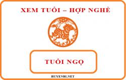 Tuổi Ngọ hợp với nghề gì và hướng nào theo phong thủy