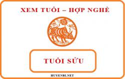 Tuổi Sửu hợp với nghề gì và hướng nào theo phong thủy