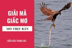 Giải mã giấc mơ: Nằm mơ thấy ăn thịt rắn điềm báo gì, lành hay dữ? con số liên quan