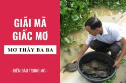 Giải mã giấc mơ: Nằm mơ thấy ba ba điềm báo gì, lành hay dữ? con số liên quan
