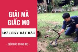 Giải mã giấc mơ: Nằm mơ thấy bắt rắn điềm báo gì, lành hay dữ? con số liên quan