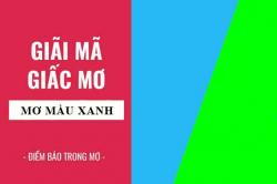 Giải mã giấc mơ: Nằm mơ thấy màu xanh điềm báo gì, lành hay dữ? con số liên quan