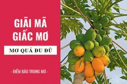 Giải mã giấc mơ: Nằm mơ thấy quả đu đủ điềm báo gì, lành hay dữ? con số liên quan