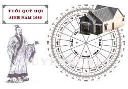 Tuổi Quý Hợi hợp với hướng nào, làm nhà hướng nào theo phong thuỷ