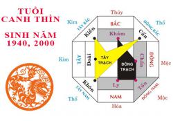 Sinh năm 2000 Canh Thìn hợp hướng nào?