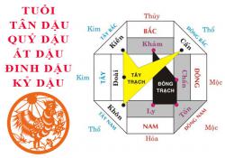 Tuổi Dậu hợp hướng nào?