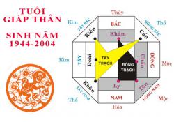 Sinh năm 2004 Giáp Thân hợp hướng nào?
