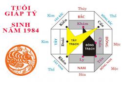Sinh năm 1984 Giáp Tý hợp hướng nào?