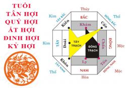 Tuổi Hợi hợp hướng nào?