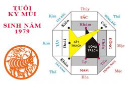 Sinh năm 1979 Kỷ Mùi hợp hướng nào?