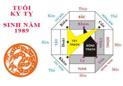 Sinh năm 1989 Kỷ Tỵ hợp hướng nào?