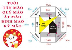 Tuổi Mão hợp hướng nào?