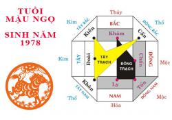 Sinh năm 1978 Mậu Ngọ hợp hướng nào?