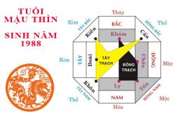 Sinh năm 1988 Mậu Thìn hợp hướng nào?