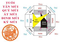 Tuổi Mùi hợp hướng nào?