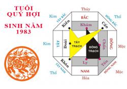 Sinh năm 1983 Quý Hợi hợp hướng nào?
