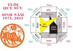 Sinh năm 1973 Quý Sửu hợp hướng nào?