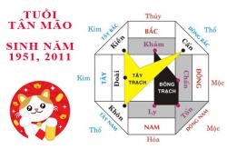 Sinh năm 2011 Tân Mão hợp hướng nào?