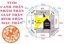 Tuổi Thân hợp hướng nào?