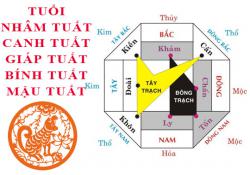 Tuổi Tuất hợp hướng nào?
