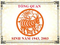 Sinh năm 2003 mệnh gì, tuổi gì và hợp màu gì?