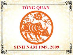 Sinh năm 2009 mệnh gì, tuổi gì và hợp màu gì?