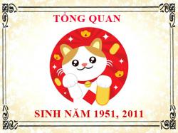 Sinh năm 2011 mệnh gì, tuổi gì và hợp màu gì?