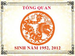 Sinh năm 2012 mệnh gì, tuổi gì và hợp màu gì?