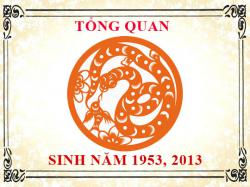 Sinh năm 2013 mệnh gì, tuổi gì và hợp màu gì?