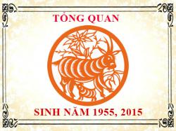 Sinh năm 2015 mệnh gì, tuổi gì và hợp màu gì?