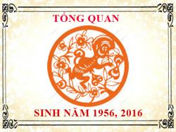 Sinh năm 2016 mệnh gì, tuổi gì và hợp màu gì?