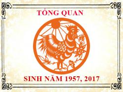 Sinh năm 2017 mệnh gì, tuổi gì và hợp màu gì?