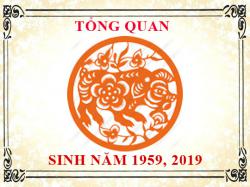 Sinh năm 2019 mệnh gì, tuổi gì và hợp màu gì?