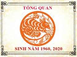 Sinh năm 1960 mệnh gì, tuổi gì và hợp màu gì?