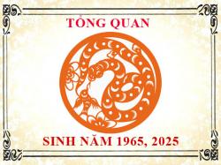 Sinh năm 2025 mệnh gì? tuổi gì và hợp màu gì, hợp tuổi nào?