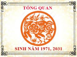 Sinh năm 1971 mệnh gì, tuổi gì và hợp màu gì?