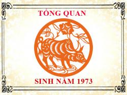 Sinh năm 1973 mệnh gì, tuổi gì và hợp màu gì?
