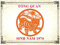 Sinh năm 1974 mệnh gì, tuổi gì và hợp màu gì?