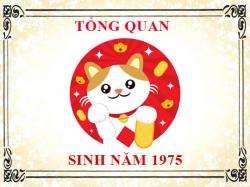 Sinh năm 1975 mệnh gì, tuổi gì và hợp màu gì?