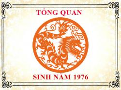 Sinh năm 1976 mệnh gì, tuổi gì và hợp màu gì?
